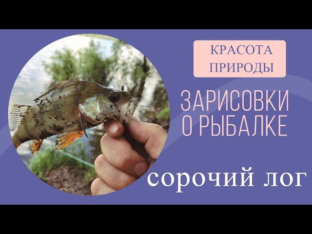 Зарисовки о рыбалке / Сорочий Лог / Красота природы
