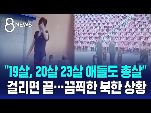 "K팝 들은 북한 청년, 공개처형"…끔찍한 북한 상황 / SBS 8뉴스