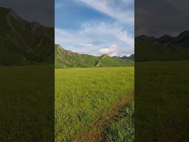 #философия #психология #личность #жизнь #саморазвитие #успех #motivation #мотивацияивдохновение