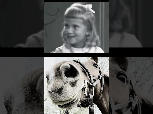 From Dreams to Hustle: Her $100 Horse Story 