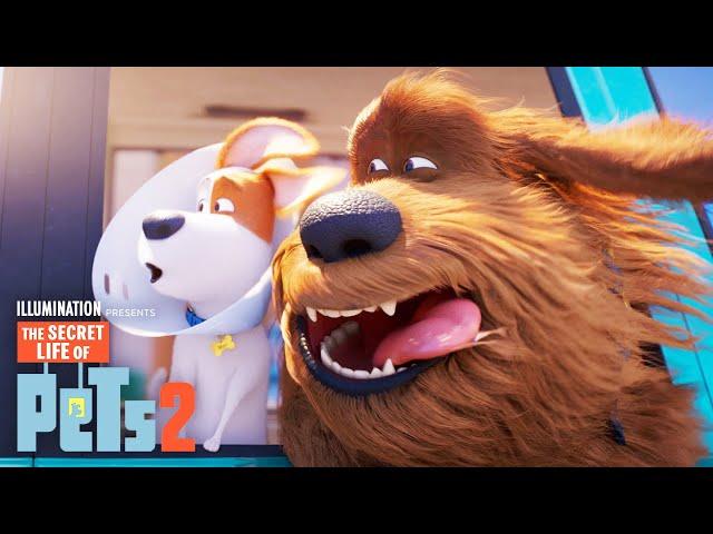 The Secret Life of Pets 2 | Max and Duke Go on a Road Trip!