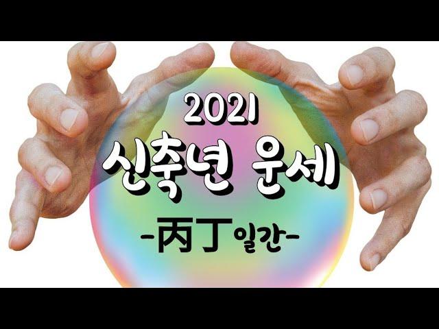 2021신축년 - 병,정 일간 운세