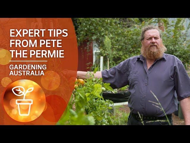 Expert tips on sustainable orchard growing from 'Pete the Permie'