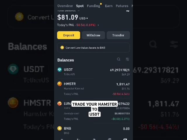 HOW TO TRADE OR CONVERT YOUR HAMSTER TO USDT         #hamstertoken to #usdt in #binance