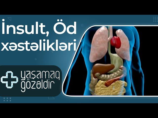 İnsult, Öd xəstəlikləri - Lalə Abdulova, Vəfa Əhmədova - 03.05.2022 - Yaşamaq Gözəldir