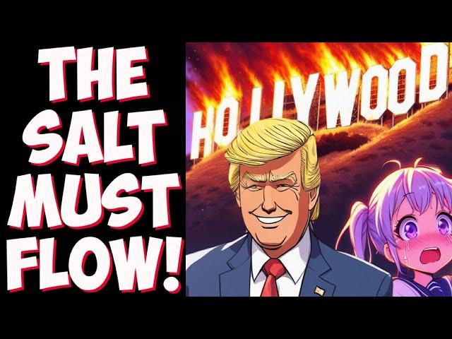 Hollywood election MELTDOWN! Celebrities REACT to Trump win and vow to SELF DELETE!