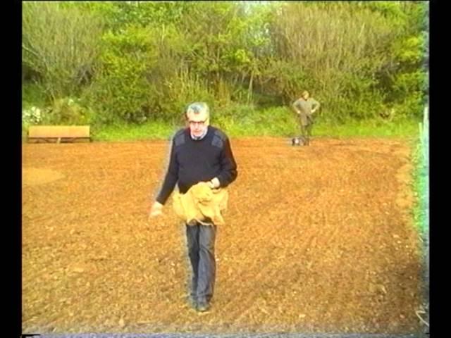 Sowing of Flax Seed in the Farming of Irish Linen