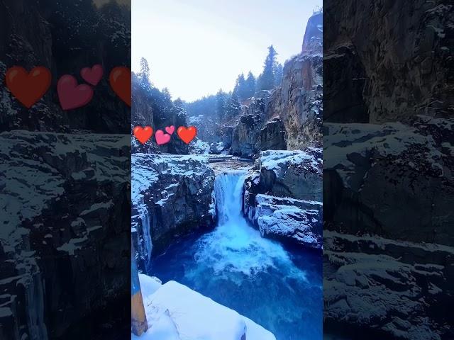 #naturelove #snowday #snowwhite #snowfall #mountainview #beach #music #travel #love #edm #shortvideo