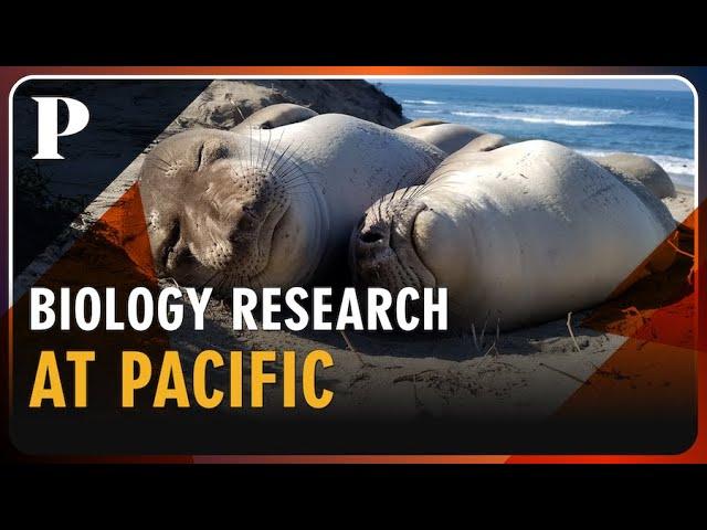 Biology research at Pacific | Student-faculty collaboration