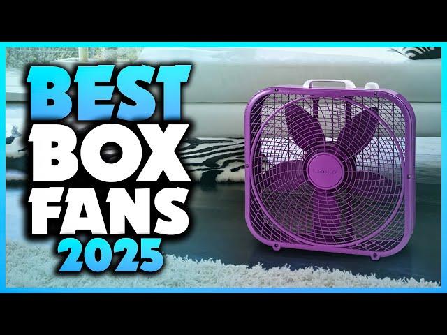 Top 7 Best Box Fans You can Buy Right Now [2025]