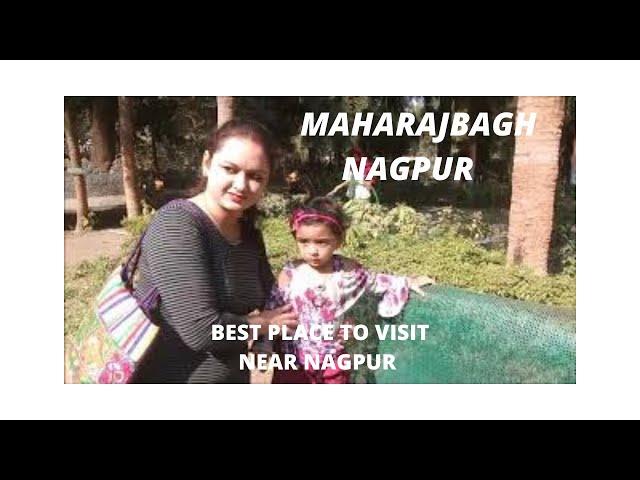 Maharajbagh Nagpur : CENTRAL ZOO OF NAGPUR || NAGPUR VLOG#23 || SECRET BAATE FOR YOU [BEST PLACE ]