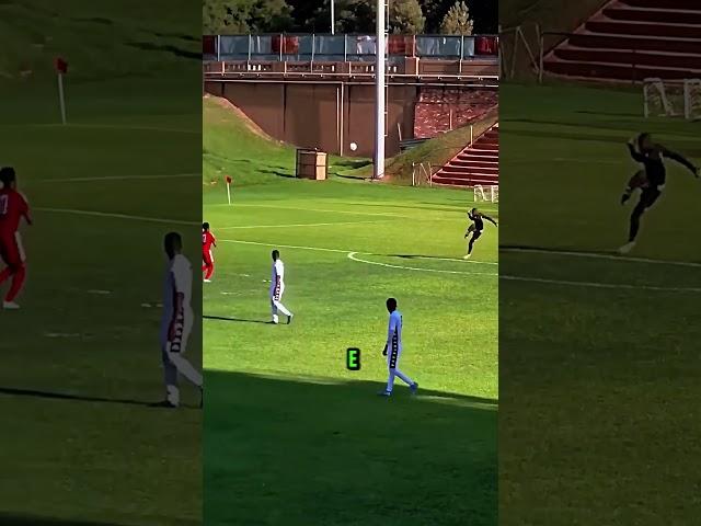 Have you ever seen anything like it? CRAZY! 