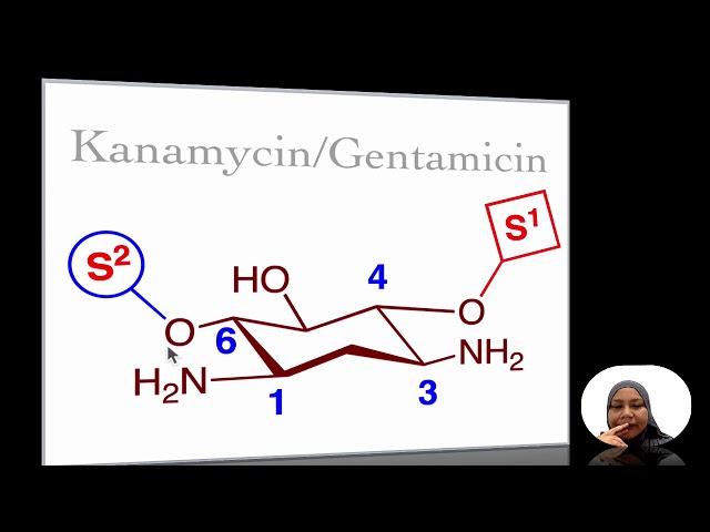 17241E Aminoglycosides