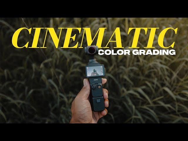 The Ultimate Guide to Color Grading DJI Osmo Pocket 3