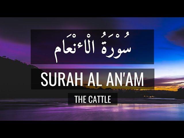 Surah Al Anam English Translation - Mishary Rashid