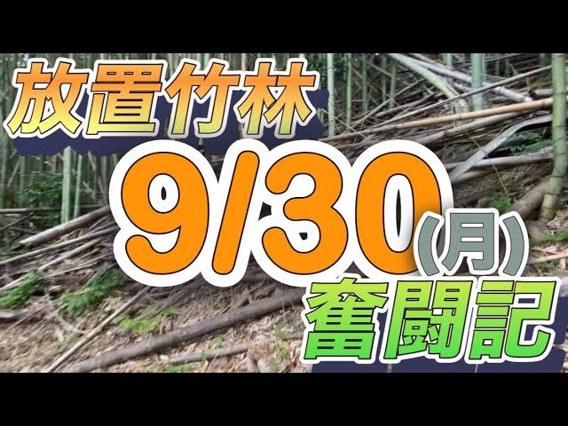 放置竹林奮闘記【サラリーマンが竹を割る日々】2024/09/30