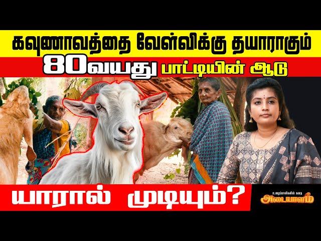 கண்ணீர் விட்டு கதறி அழுத்த 80 வயது பாட்டி! | jaffna | Adaiyalam | Nomika