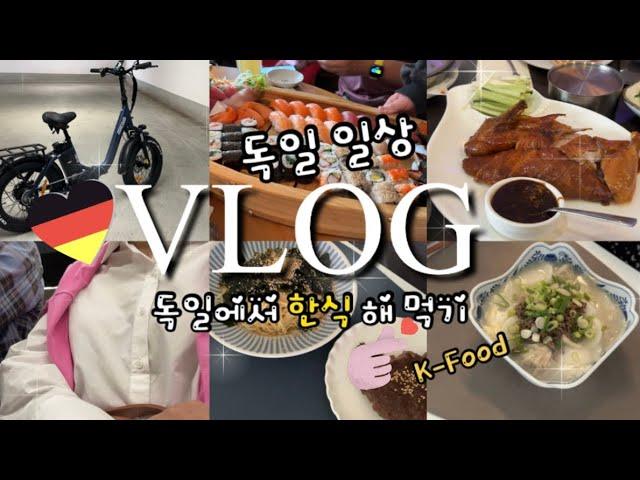 Unboxing Electric Bicycles,  Making Korean food in Germany, German vlog