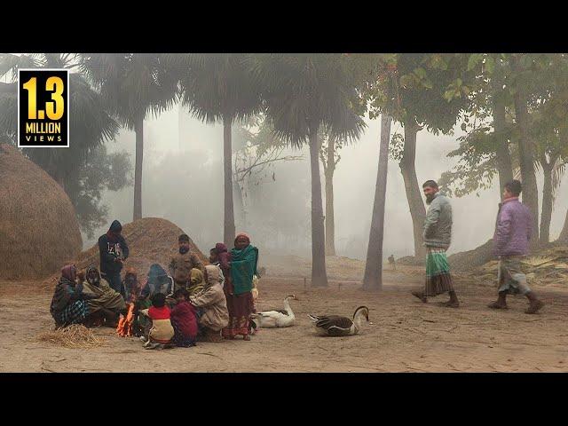 কুয়াশার চাদরে মোড়া সিরাজগঞ্জের বাকাই গ্রাম (২০২৩) || @PanoramaDocumentary