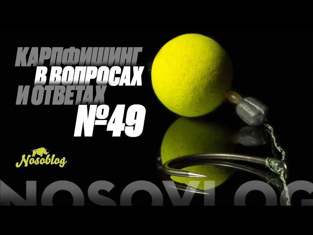 Карпфишинг в вопросах и ответах #49, Колесников А.