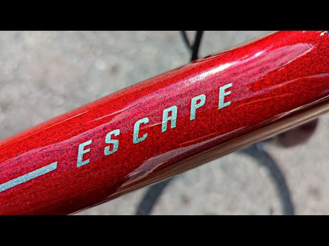 When "Just a Bike" is the Right Bike | Giant Escape 2 Review