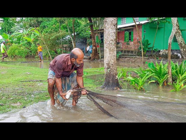 Fantastic Net Fishing After Rain || Catching Big Fish By Village Traditional Fisherman