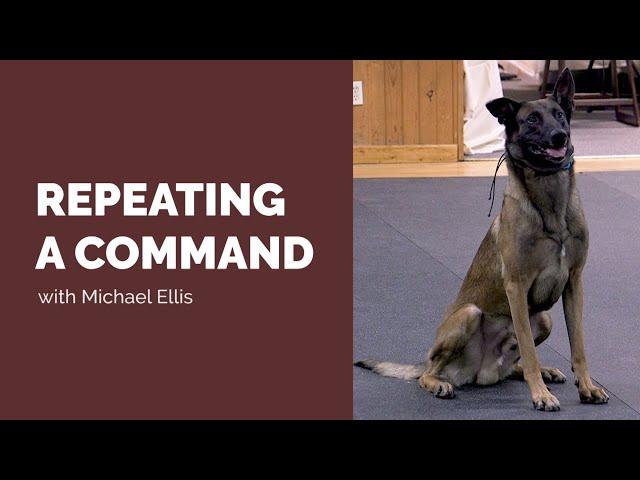 Should You Repeat Your Commands? with Michael Ellis