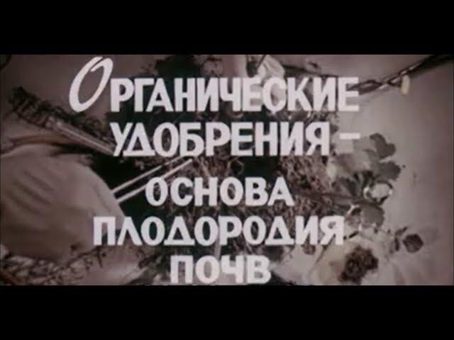 Органические удобрения – основа плодородия почв