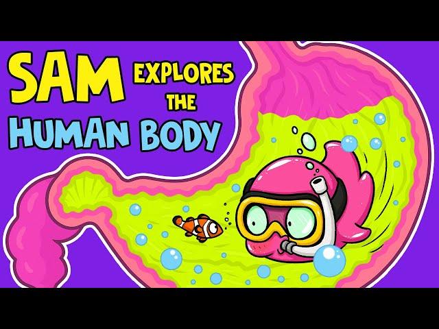 A Slime Inside the Body?! Micro-Sam’s BIG Adventure!