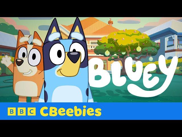 Bluey | Watch Now on BBC iPlayer | CBeebies