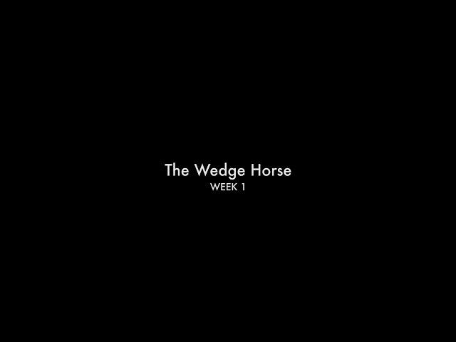 The Wedge Horse - Week 1