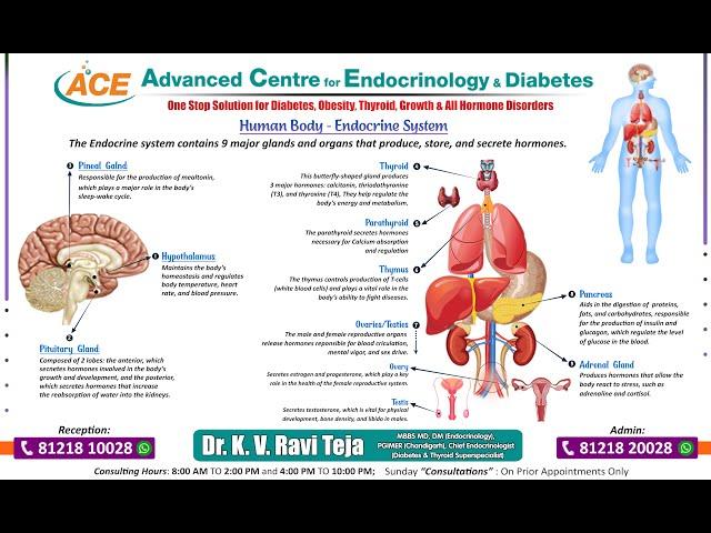 #Advanced #Endocrinology #Diabetes #MVPColony #Visakhapatnam #DrRavi #hormones  #mvp #vizag #health