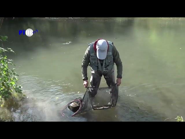 TV Pljevlja XVI Fly fishing Montenegro Pljevlja 14 10 2024