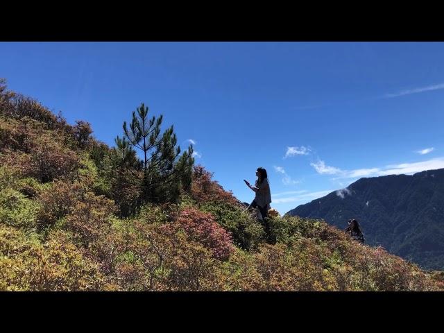 合歡山北峰 東峰 主峰一日行