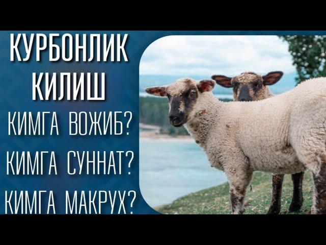 Курбонлик хакида Батафсил, Курбонлик килишга кодирмисиз? ëки йок?