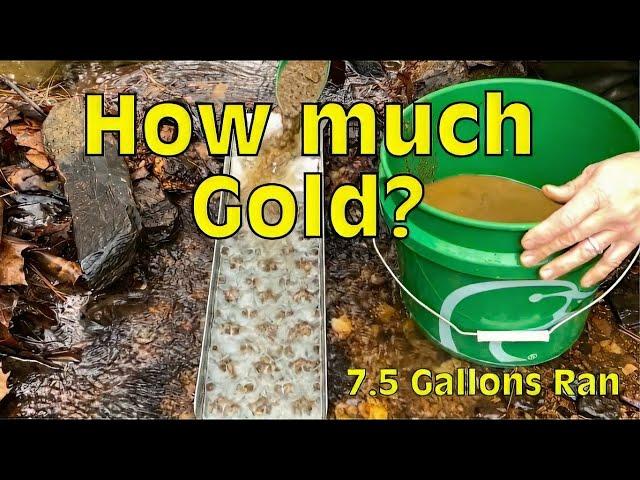 7.5 Gallons…. How much Gold? Sluicing for Gold