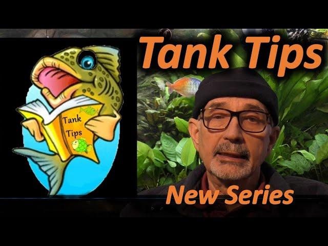 Tank Tips Launch Announcement- Halfman Halfcichlid Youtube Channel