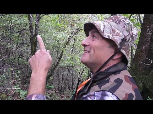 Wild boar hunting (with subtitle)