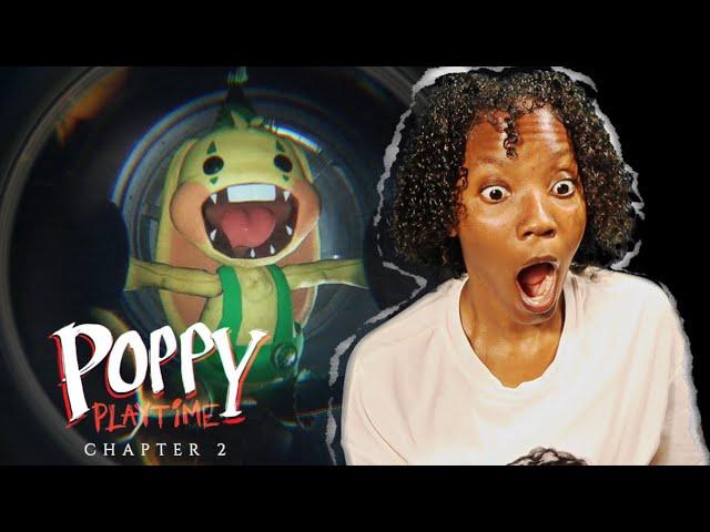 LOST BRAIN CELLS PLAYING THIS!!! || CHAPTER 2 POPPY PLAYTIME