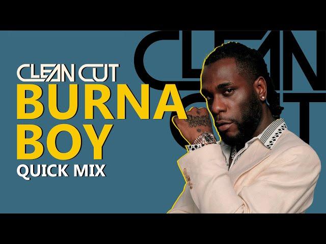 Burna Boy Quick Mix 2025
