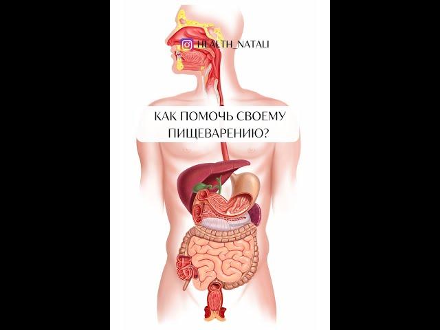 Как помочь своему пищеварению? 4 простых способа.
