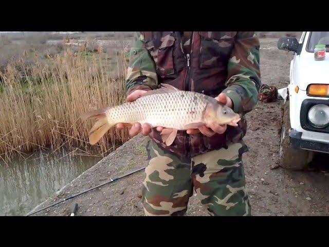 Fishing (Shirvan canal and Kur river) 3.24