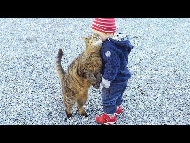 When you are my one and only special friend️Cute Cats and Human