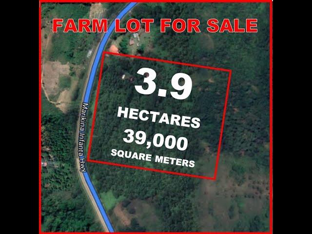 FARM LOT FOR SALE Along MARILAQUE Highway TANAY, RIZAL