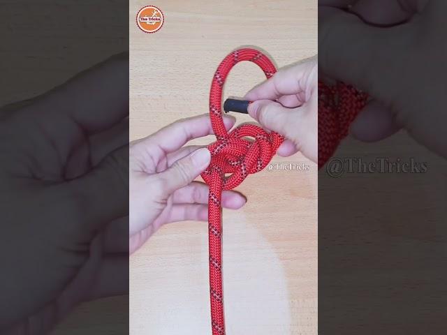 How to tie knots rope diy idea for you #diy #viral #shorts ep2161