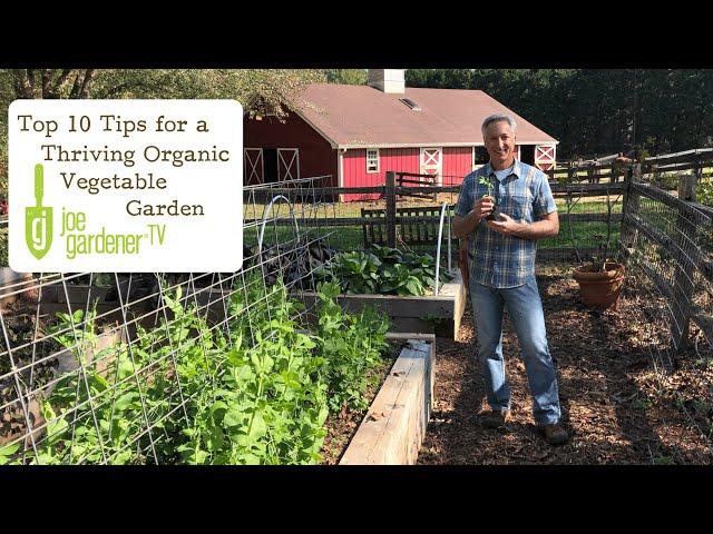 Top 10 Tips For a Thriving Organic Vegetable Garden