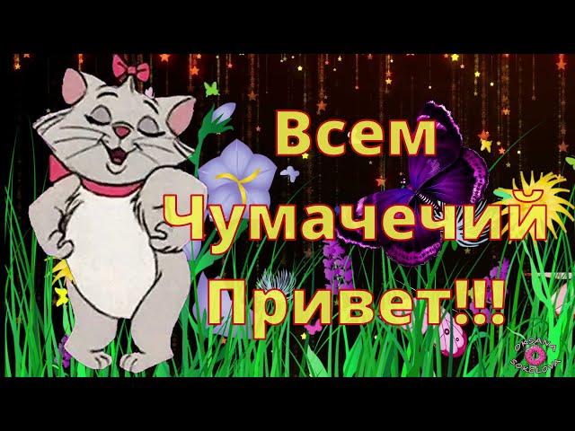 Лови Приветик! Улыбнись Мне! Как Твои Дела? Прикольная и Позитивная Музыкальная Открытка для Тебя!