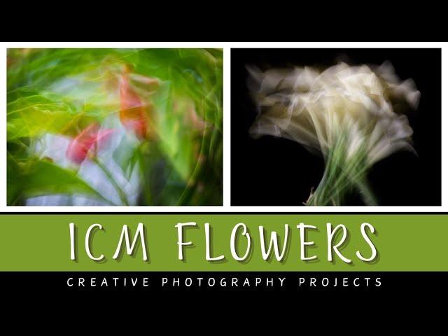 ICM flower & plant photography: Move your camera to create abstract art outdoors and in studio.