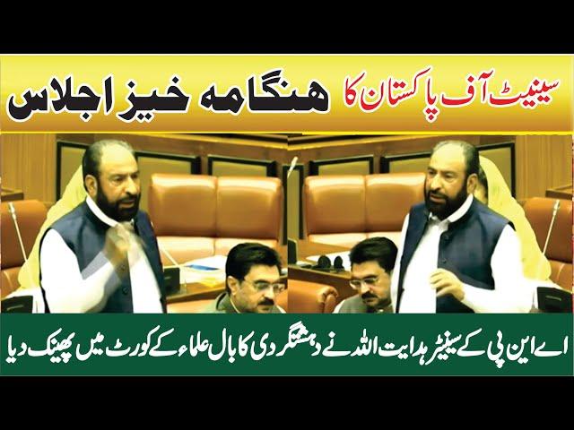 ANP Haji Hidayat Ullah Khan Big Speech In Senate Of Pakistan