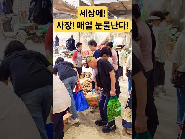 여기 사장 매일 눈물 훌린다! #시장 #맛집 #폭락 #food #먹거리